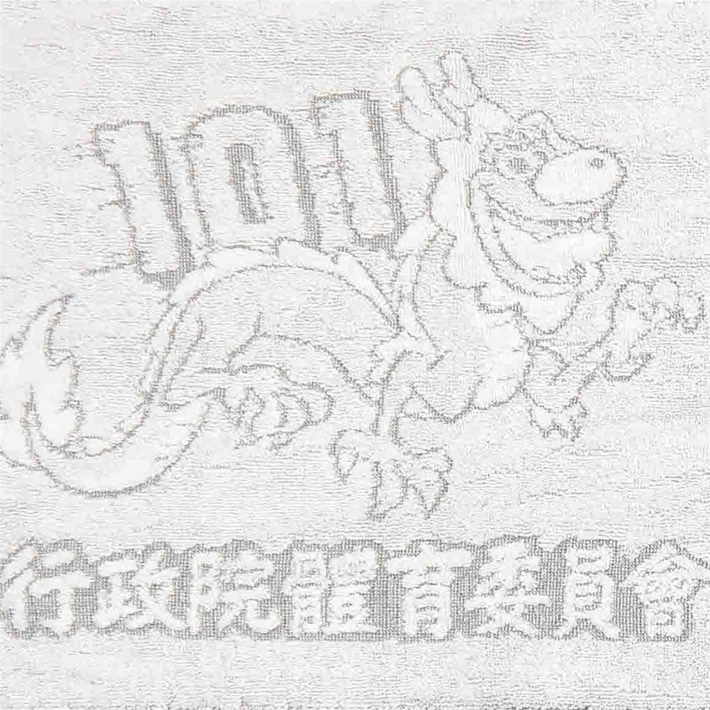 行政院體委會客製運動巾